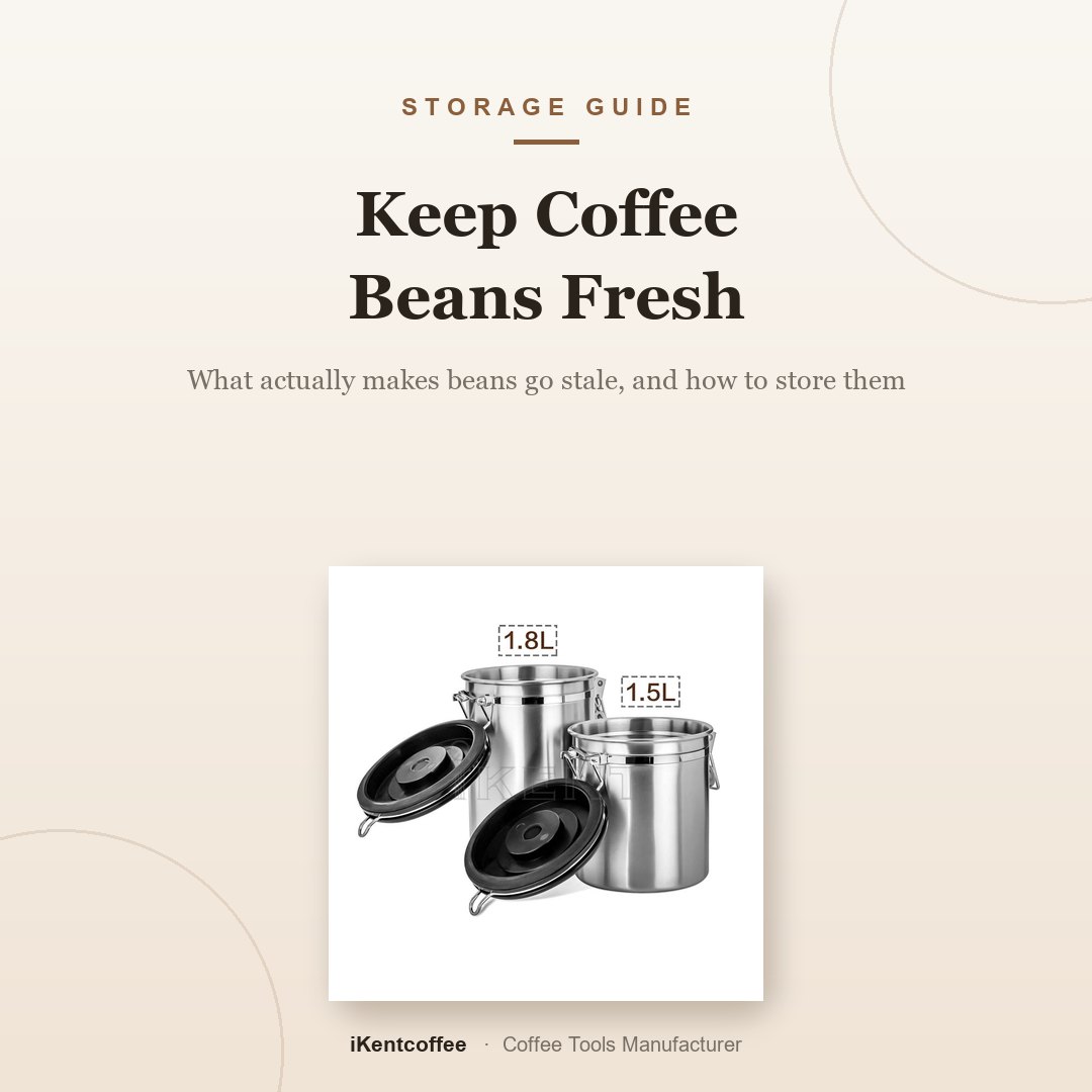 How to keep coffee beans fresh - airtight coffee canister storage guide
