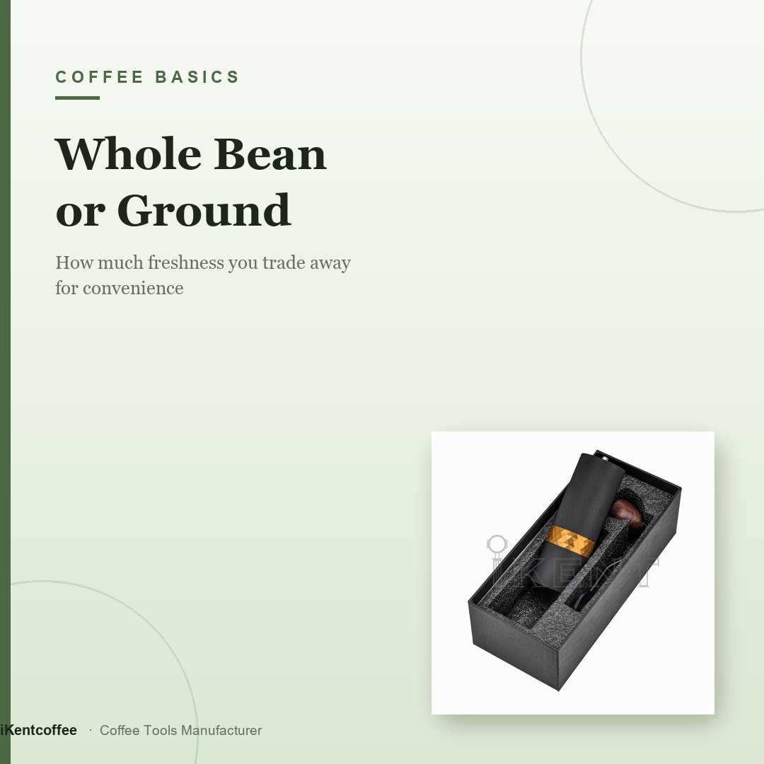 Whole Bean or Ground - iKentcoffee coffee tools guide