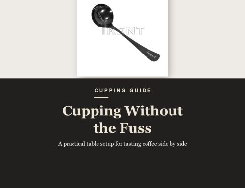 Precision Meets Elegance in Coffee Cupping